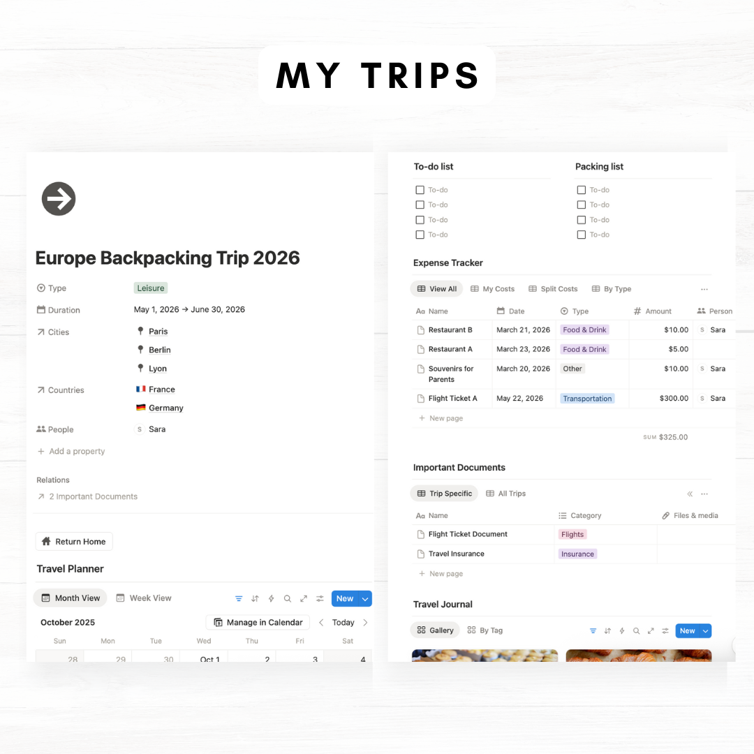 ULTIMATE Travel Journal & Planner (Premium)