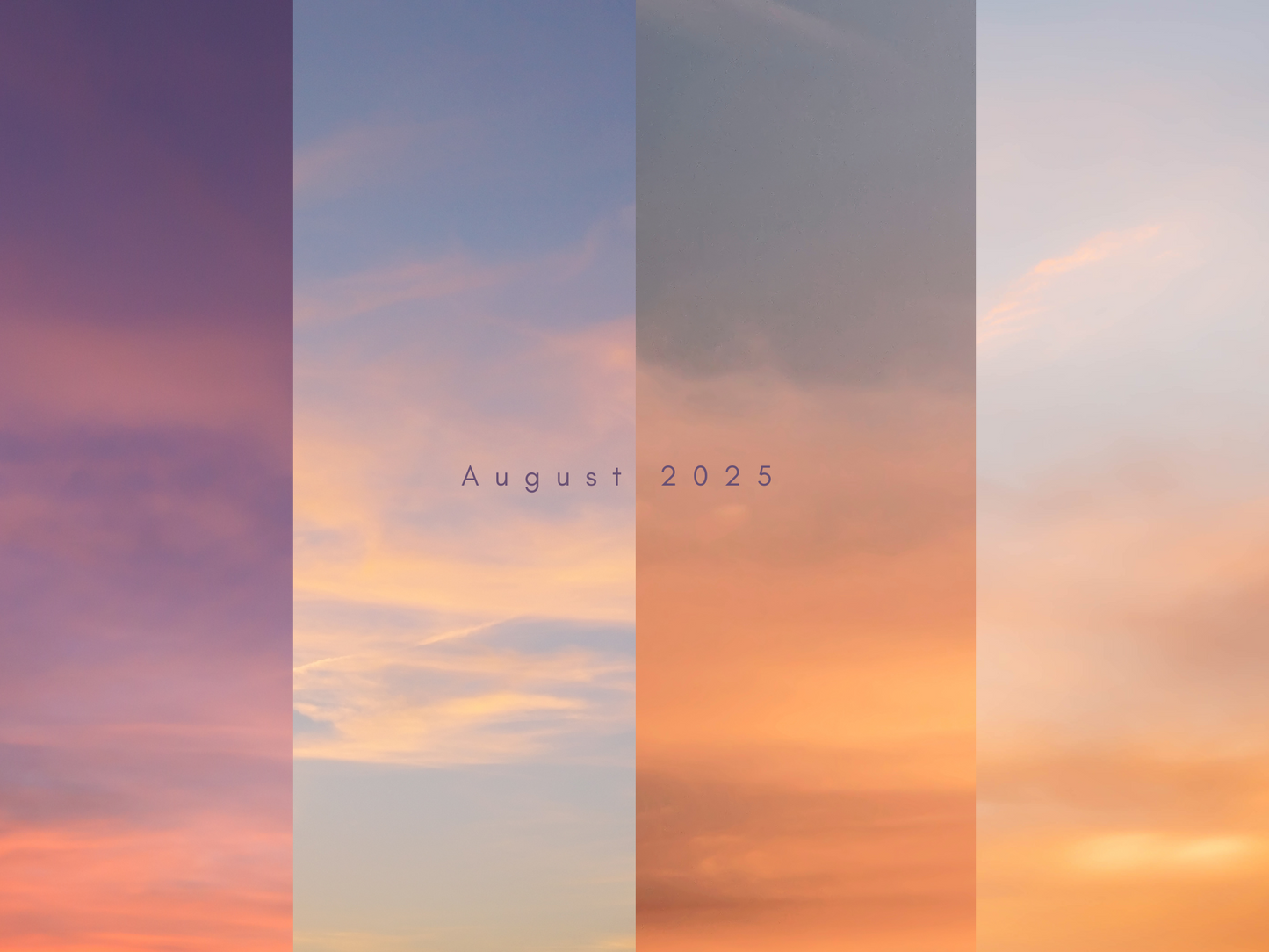 Monthly Freebie