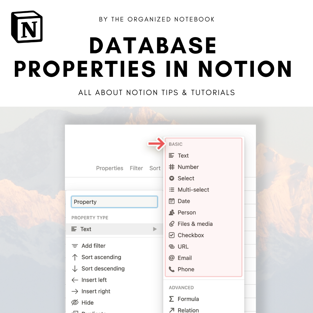 Notebook Properties Database Properties in Notion – The Organized Notebook