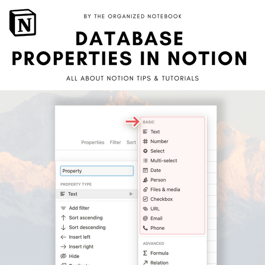 notion database properties