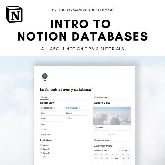 notion databases