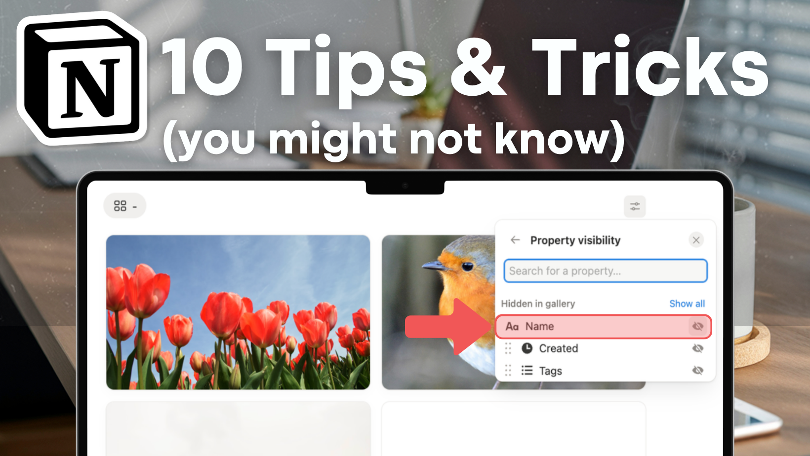 10 Notion Tips & Tricks You Might Not Know (Yet) – The Organized Notebook
