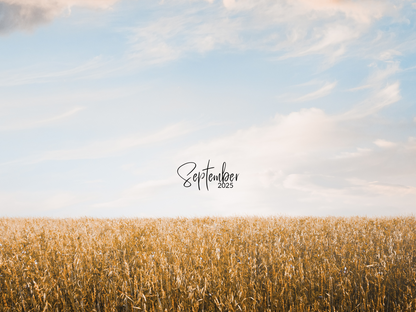Monthly Freebie