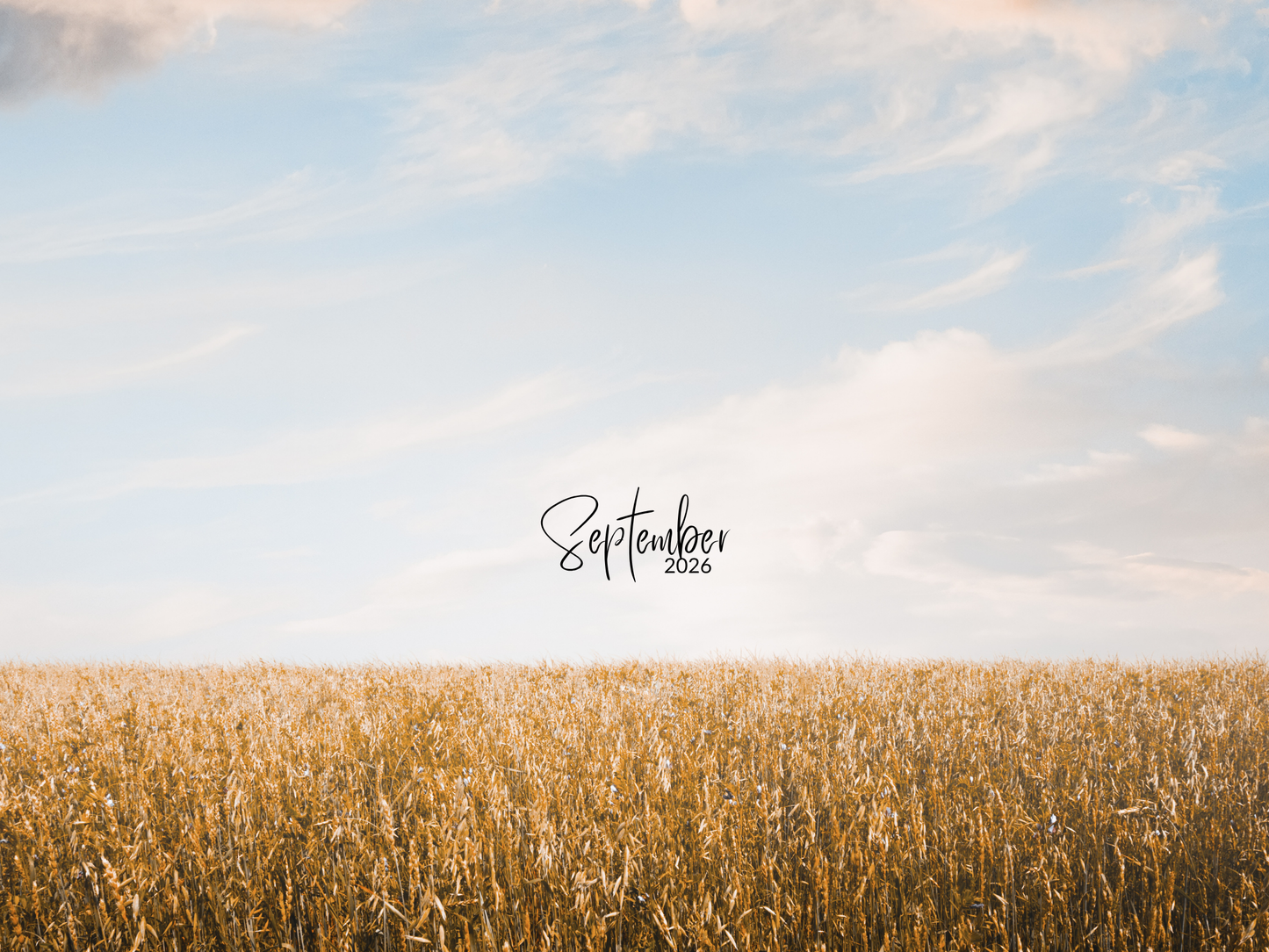 Monthly Freebie