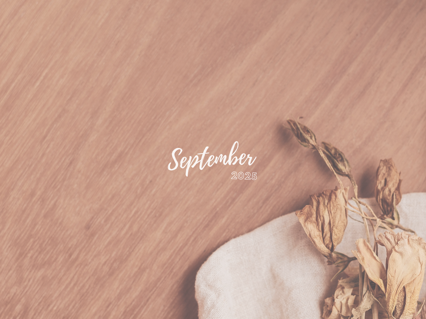 Monthly Freebie
