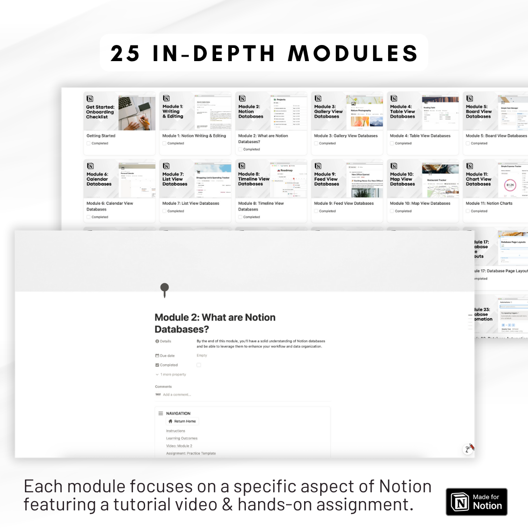 Notion Mastery Course: Learn by Building – The Organized Notebook