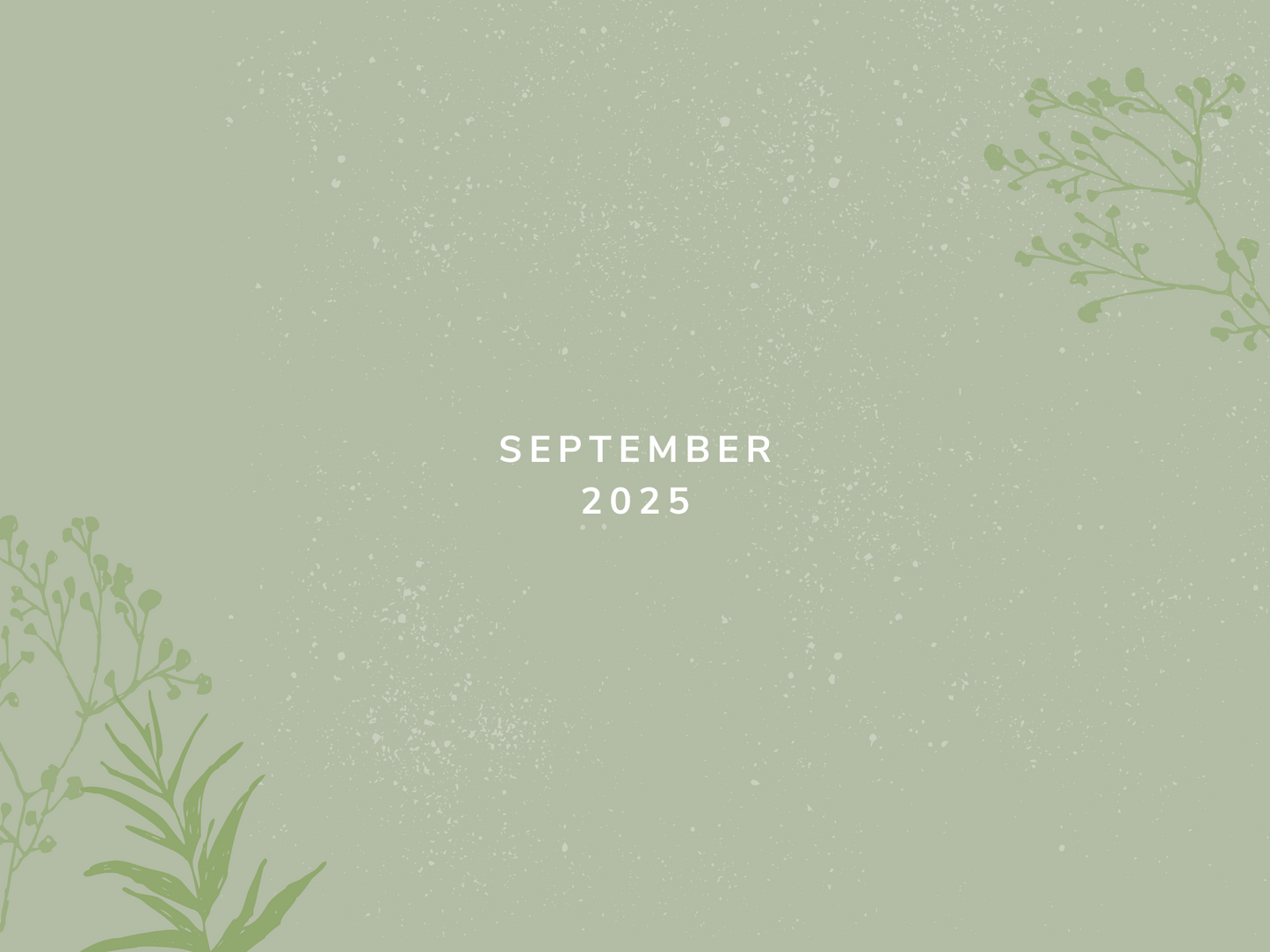 Monthly Freebie