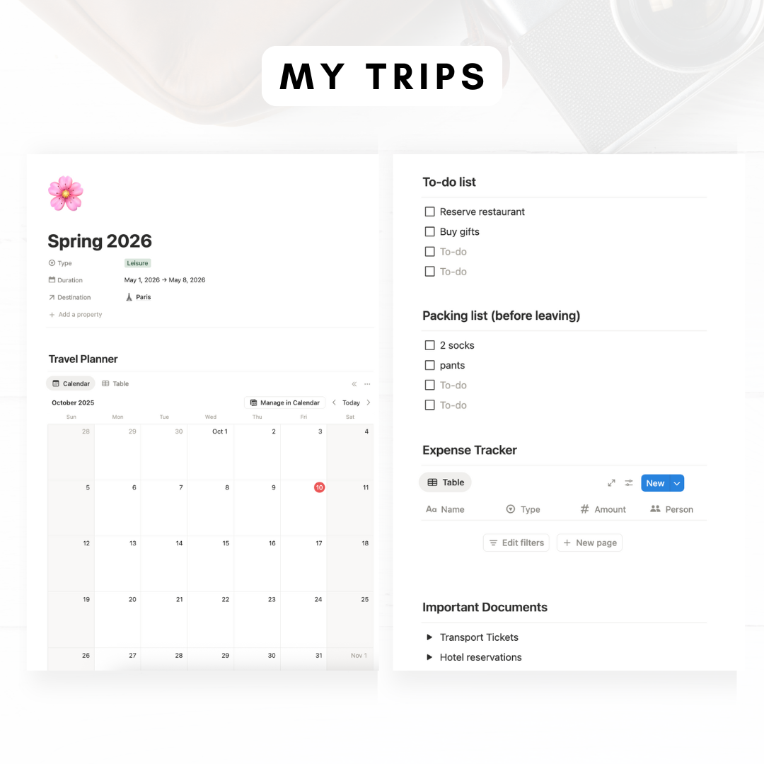 Travel Journal Notion Template