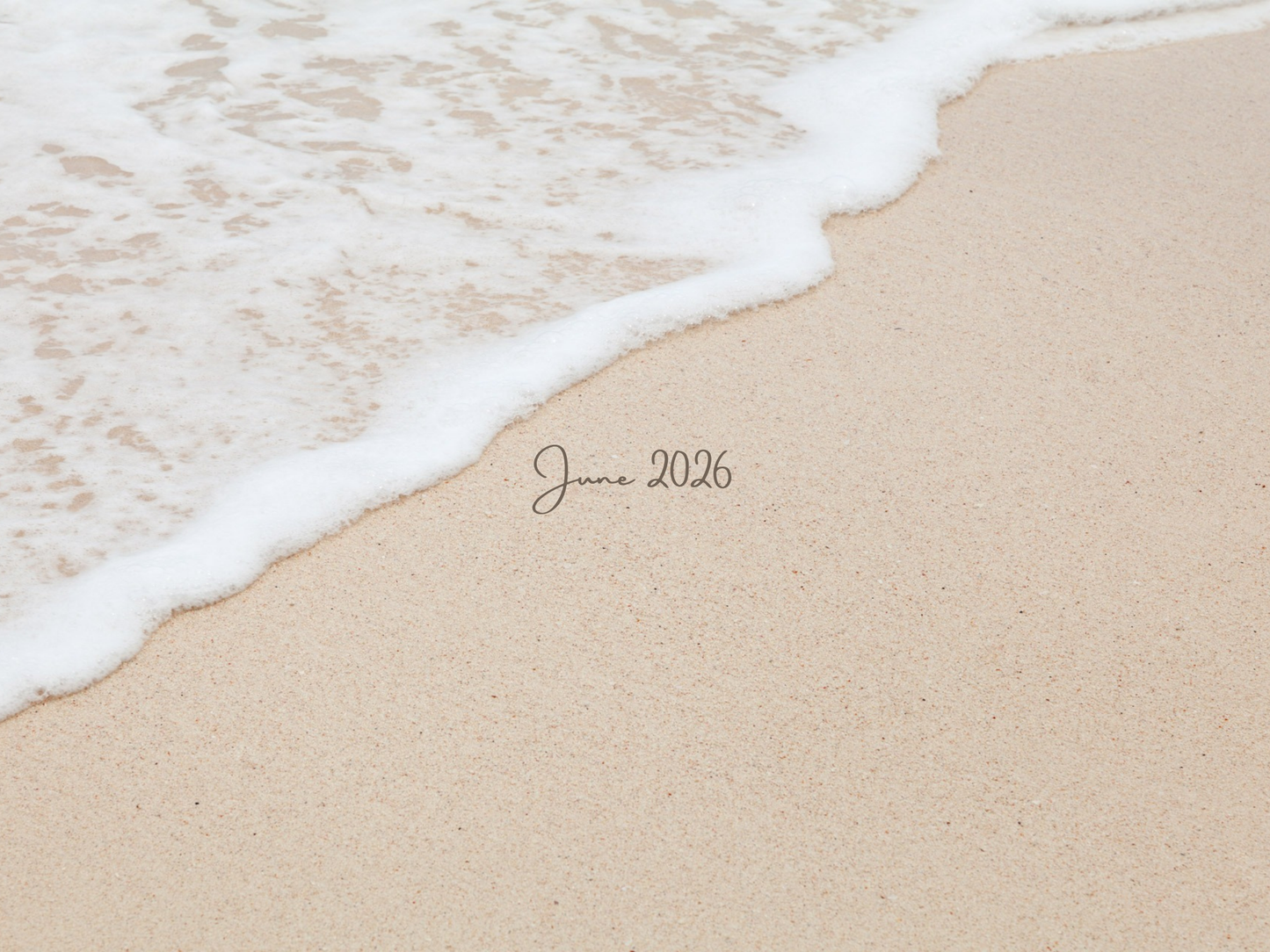 Monthly Freebie