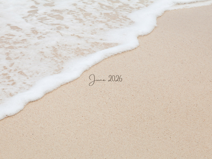 Monthly Freebie