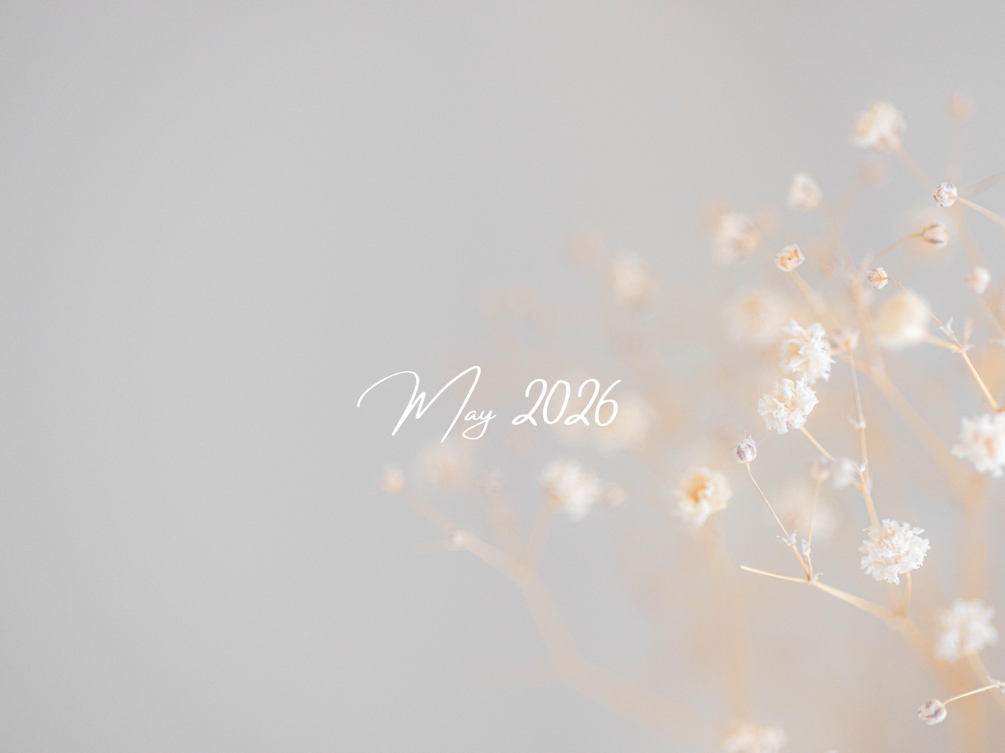 Monthly Freebie